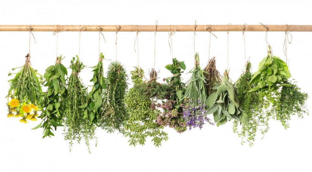 bigstock-Fresh-Herbs-Hanging-Isolated-O-74046136